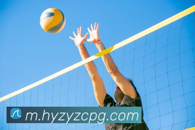 pg官网平台生态图